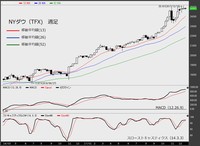 NYダウ（TFX）　週足　チャート